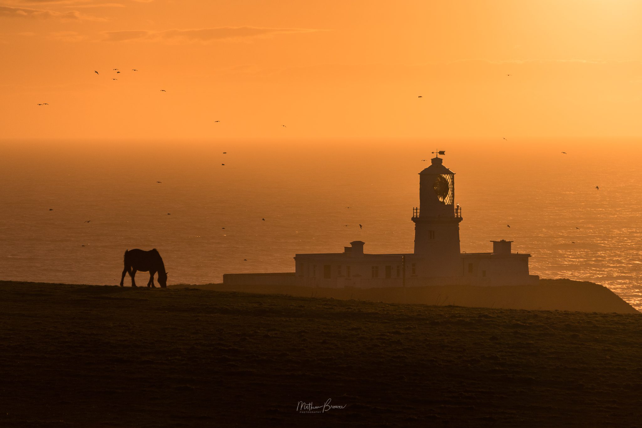 Pembrokeshire Camera Tuition