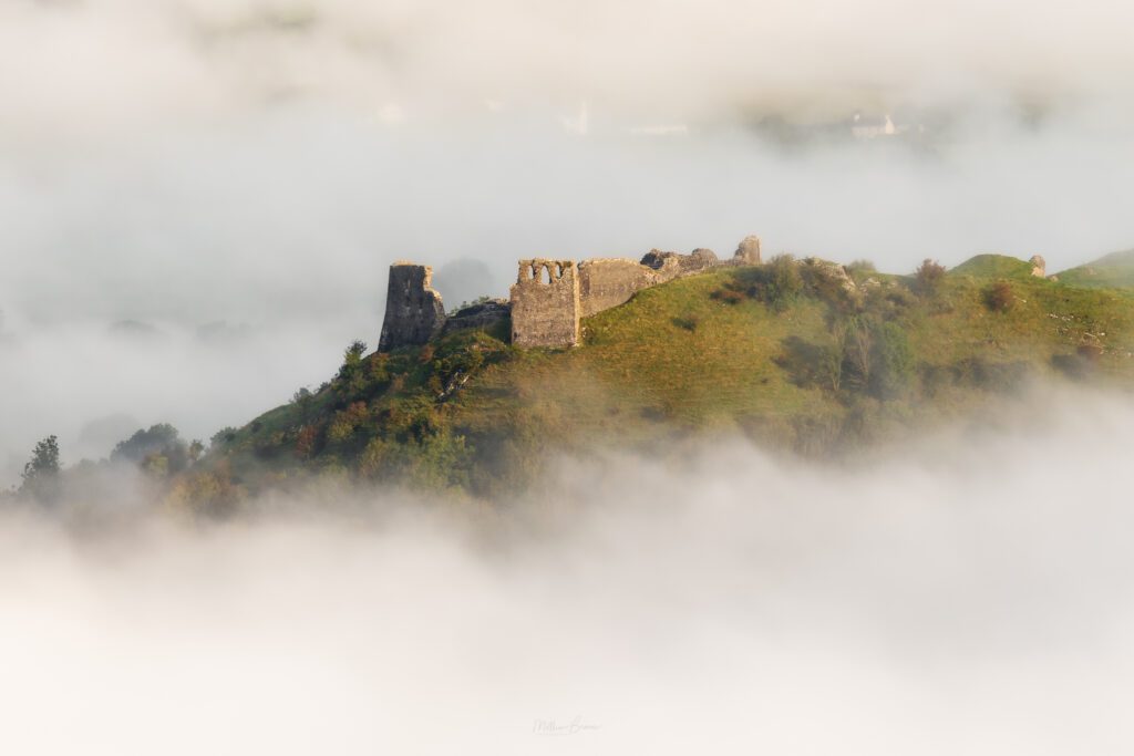 Carmarthen Camera Workshop
